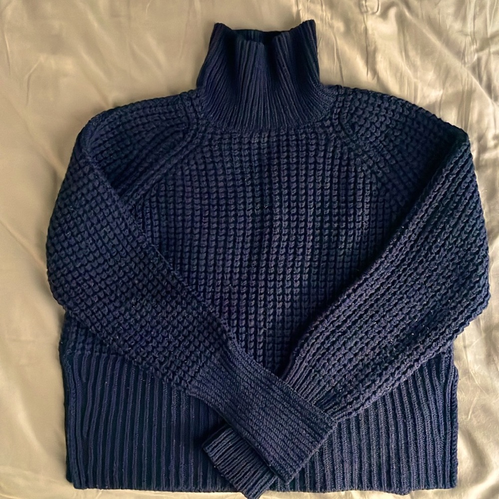 Everlane Cropped Turtleneck Sweater